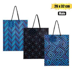 Gift-bag paper lrg 26x32cm every male
