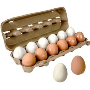 Novelty ball bouncing egg