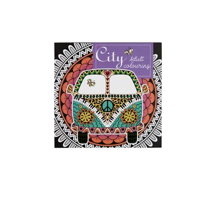 Book colouring adult city